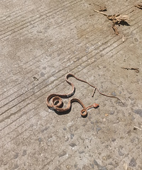 ��û�ж�����������������ʲô�ߣ�