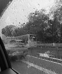 嘉兴暴雨黄色预警!