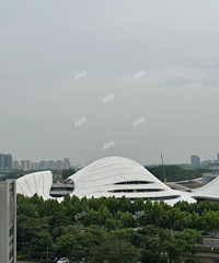 ������������ɽ������ȥ������ʲô�����������ִ����