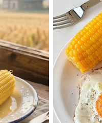 ��˵��ͼ�֬�ڳ�������� ������ڵ����ˣ�