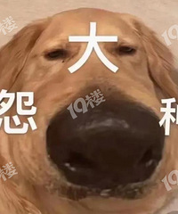 ��������ԭ����ҵ�ѣ����ھ����췢�֣��Է���ҵ�Ѵ���...