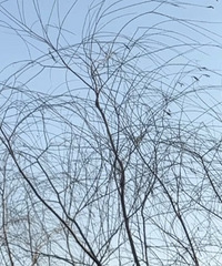 ��ʲô�취�����û�������������һ��