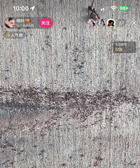 ������һ�·���άȨ������װ�޲��һ����Ϳ����ķ�ùȫ�ǳ��ӣ�