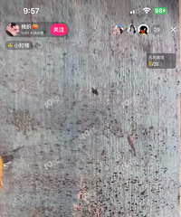 ������һ�·���άȨ������װ�޲��һ����Ϳ����ķ�ùȫ�ǳ��ӣ�