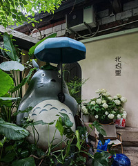 【初夏寻缘】身高184 大专自由职业者 94年男生找有缘人