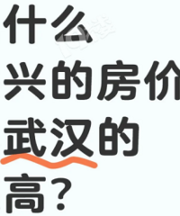 Ϊʲô���˵ķ��۱��人�߰���