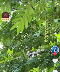 ���˽�����ĺö��߰�������ȥ��Ϫ��ˣ������������ߡ�