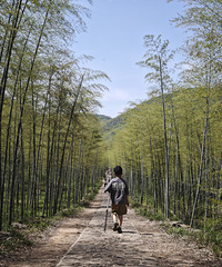 �������ʸ�λ������û���Լ���ʱ�� �Ѿ��۵�Ҫ��