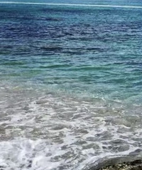 �����׶�԰����ٰ���ͬ���� �����ӵ�Ƶ�θ�