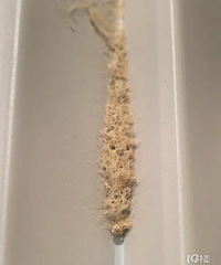 木门门框这个是啥?看着好恶心…