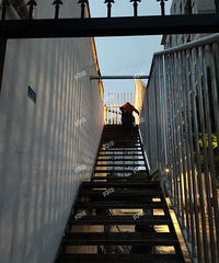 ����90����̫�峿5�㲻����¥�ݼ��Ʒ�������Ͻ�Ҳ�в�ס����