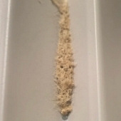 ľ���ſ������ɶ��