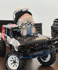 ��Ǯ֤������˭��ȥ�����labubu�������ôĪ�����ˡ�