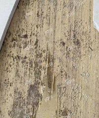 ��������̳����£���˵ÿһ������Ģ����...