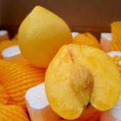 黄金油桃 鲜灵水润!