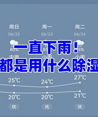 ��Ҷ�����ʲô��ʪ�ģ����������...