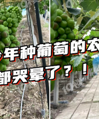 �������� ���Ѷ����ˡ�