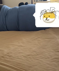 ��ɩ������������Ҵ���ſ���Ҵ��Ͽ����ӣ�������𣿣���