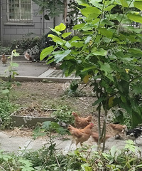 ��ˮ�������������֡����¡�����ȫ��С��������Ҫ������������