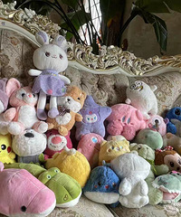 ���������ǻ������С������ĳ�ϲ��