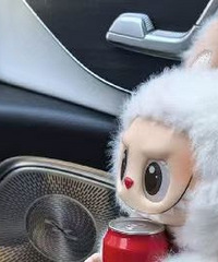 80��෿����������δ��ı��ع���