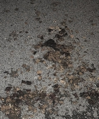 ����ҩ������·������ʲô�����𣿸�ʲô�⽨���������