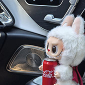 ���г�80���Ҷ���