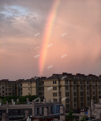 ����������������ϳ��ֲʺ磬̧ͷ���ܿ����ˣ�