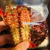 别用洗碗机洗小龙虾!