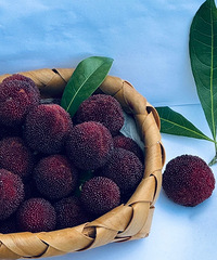 ��÷�����������������ǳ���÷��ϴ��