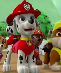 ��ٷż��ڼң����ӳ��˿�����Ƭ���Ƕ���Ƭ����ô�죿