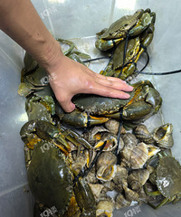 ���ܵ�19¥���Ƽ������ں������ﻹ�ܸϺ����з�棿