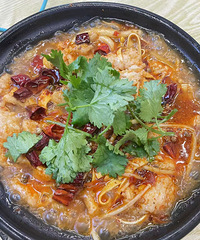 ��ѧ����ѡ����������ҵ���ĺ��԰���