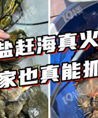 �ջ�����һ��Ͱ��