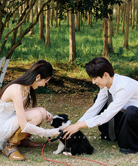 �⾰��ɴ�պϼ����ϣ�������������ʢ�������÷��