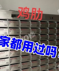 ��ʽС����ߵĶ��������ˣ�