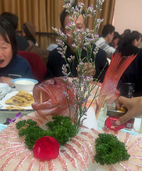 ��Ȼ������Ļ������ģ����˺ܺóԣ��۸�Ҳʵ��!