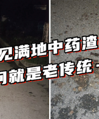 ����˵����������