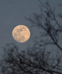 ����ʲôʱ��������޵ģ�