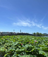 �Ͼ����������У���ⲻ����ʱͬ��Ϊ����������ʫ ȥ������