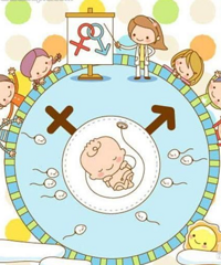 ���ֻ����һ�����ӣ�����Ҫ�к�����Ů����