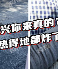 ����С�����¹��� ��һ����