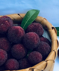 ��÷�����������������ǳ���÷��ϴ��