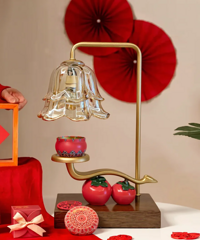 �ÿ�����Ԣ��ĳ��������ڱ����ҵ�����