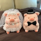 爆改婚礼lulu猪!