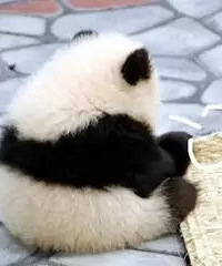 ���������࣡Ͷ�ʡ���������ס���Զ�������Ҫ��...