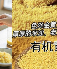 ������һ�����ȵĳԲ��·��������������~