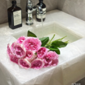 ��ˮ��ϴ��̨��Ư����