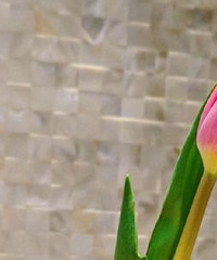 97������Ҷ��� ����������ദ