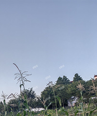 ���ѱ��ϣ��������������µ����ף���������һ������ʣ��